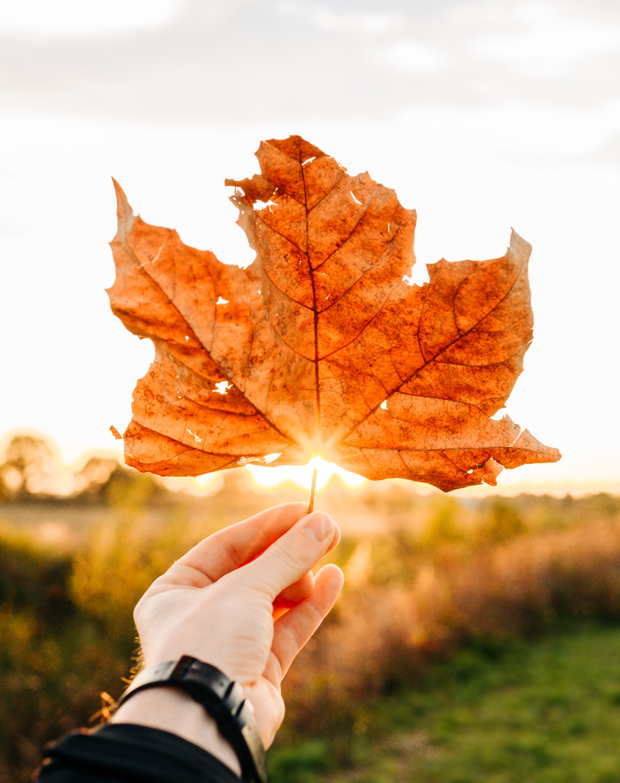 Embrace Fall with October Specials