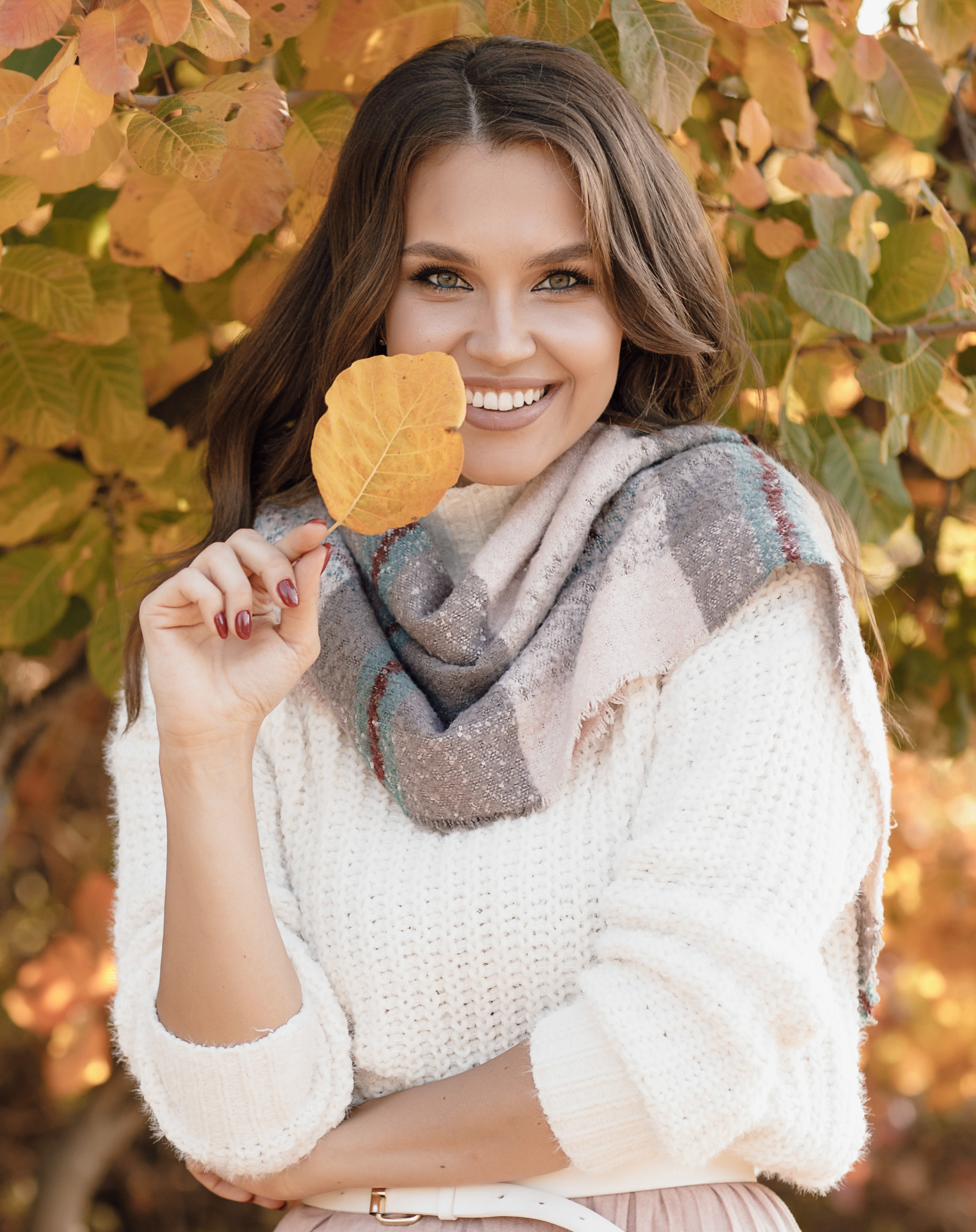 November Holiday Specials